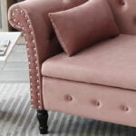 Couch-Cart-Tufted-Chaise-Lounge-Divan-Couch-Settee-Living-Room-Sofa-Bedroom-with-Storage-Box-Furneez-1677190522